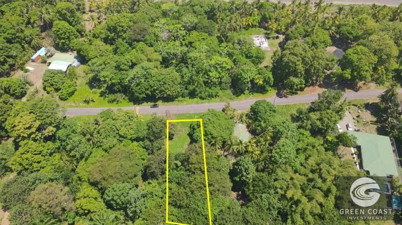 Matapalo Beach Lot: Build Your Dream Coastal Escape Steps from the Pacific — view 3, Quepos (Aguirre), Costa Rica