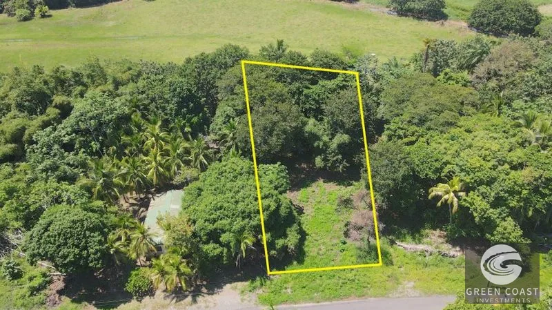 Matapalo Beach Lot: Build Your Dream Coastal Escape Steps from the Pacific — view 5, Quepos (Aguirre), Costa Rica