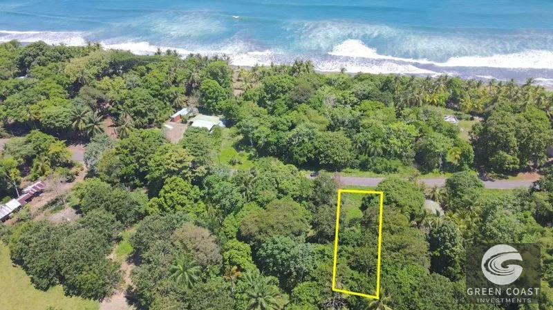 Matapalo Beach Lot: Build Your Dream Coastal Escape Steps from the Pacific — view 9, Quepos (Aguirre), Costa Rica