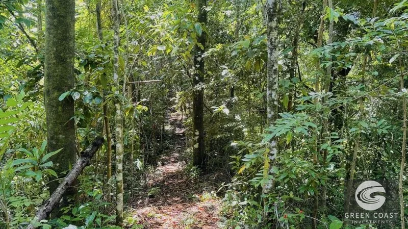 66.5-Acre Jungle Oasis Near Quepos: Off-Grid Paradise with Development Potential — view 3, Calle Concepción Arriba, Quepos, Costa Rica