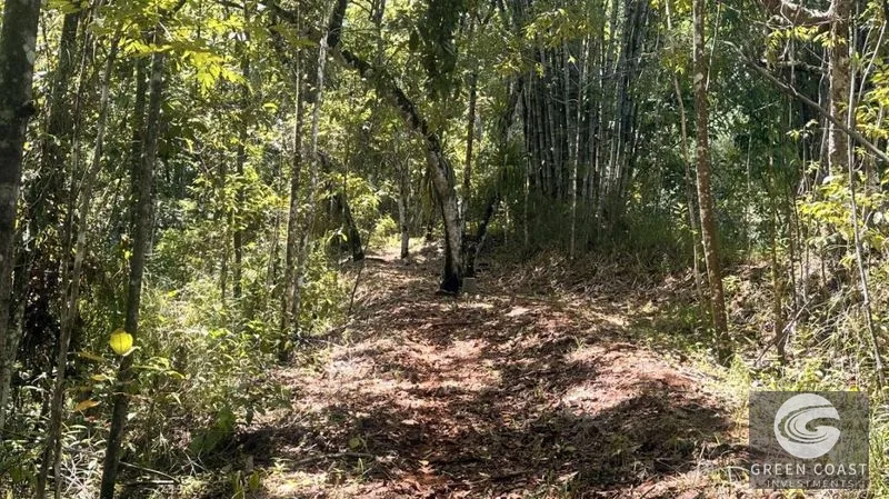 66.5-Acre Jungle Oasis Near Quepos: Off-Grid Paradise with Development Potential — view 4, Calle Concepción Arriba, Quepos, Costa Rica