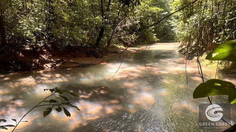 66.5-Acre Jungle Oasis Near Quepos: Off-Grid Paradise with Development Potential — view 6, Calle Concepción Arriba, Quepos, Costa Rica