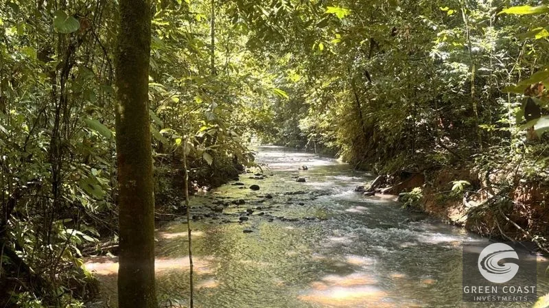 66.5-Acre Jungle Oasis Near Quepos: Off-Grid Paradise with Development Potential — view 7, Calle Concepción Arriba, Quepos, Costa Rica