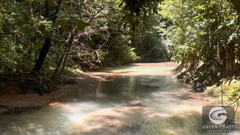 66.5-Acre Jungle Oasis Near Quepos: Off-Grid Paradise with Development Potential — view 8, Calle Concepción Arriba, Quepos, Costa Rica