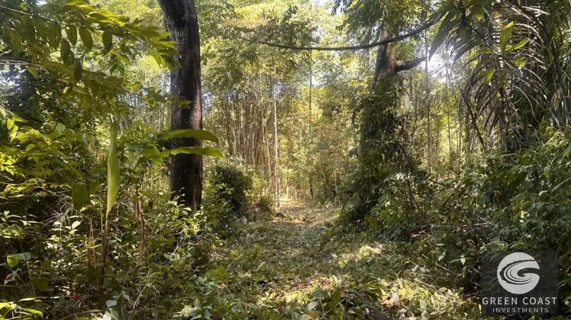 66.5-Acre Jungle Oasis Near Quepos: Off-Grid Paradise with Development Potential — view 9, Calle Concepción Arriba, Quepos, Costa Rica