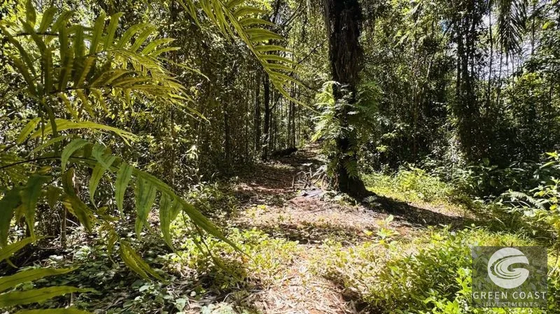 66.5-Acre Jungle Oasis Near Quepos: Off-Grid Paradise with Development Potential — view 10, Calle Concepción Arriba, Quepos, Costa Rica