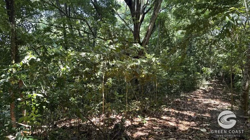 66.5-Acre Jungle Oasis Near Quepos: Off-Grid Paradise with Development Potential — view 11, Calle Concepción Arriba, Quepos, Costa Rica