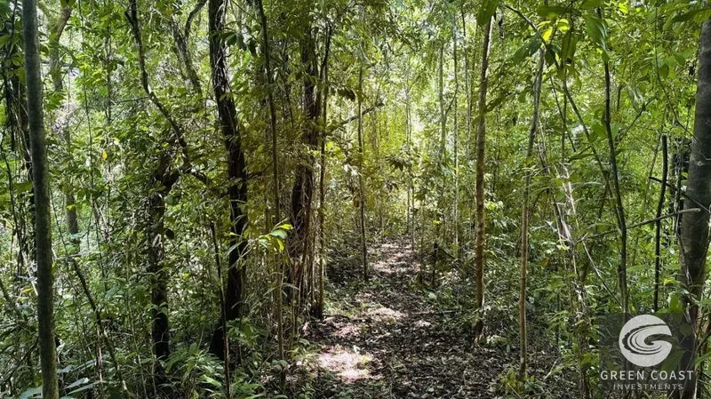 66.5-Acre Jungle Oasis Near Quepos: Off-Grid Paradise with Development Potential — view 12, Calle Concepción Arriba, Quepos, Costa Rica