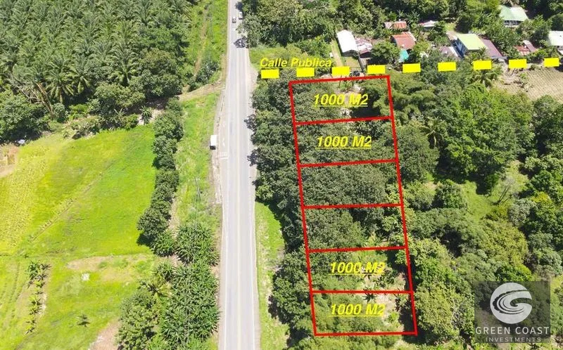 Matapalo Beachside Lots: Prime Investment Near Manuel Antonio & Marina - Develop Your Vision! — view 2, Matapalo, Quepos (Aguirre), Costa Rica