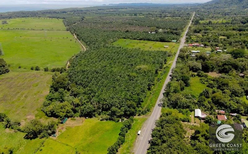 Matapalo Beachside Lots: Prime Investment Near Manuel Antonio & Marina - Develop Your Vision! — view 3, Matapalo, Quepos (Aguirre), Costa Rica