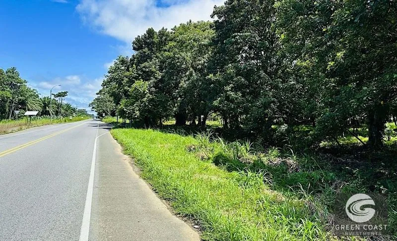 Matapalo Beachside Lots: Prime Investment Near Manuel Antonio & Marina - Develop Your Vision! — view 11, Matapalo, Quepos (Aguirre), Costa Rica