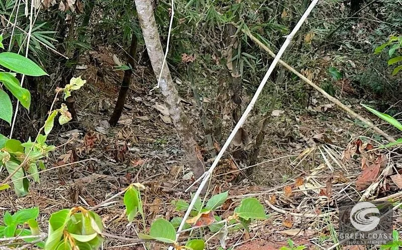 Private 1.25-Acre Rainforest Lot with Creek Frontage – Matapalo's Hidden Gem — view 2, Quepos (Aguirre), Costa Rica