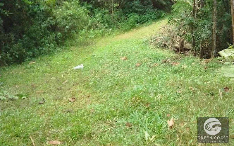 Private 1.25-Acre Rainforest Lot with Creek Frontage – Matapalo's Hidden Gem — view 3, Quepos (Aguirre), Costa Rica