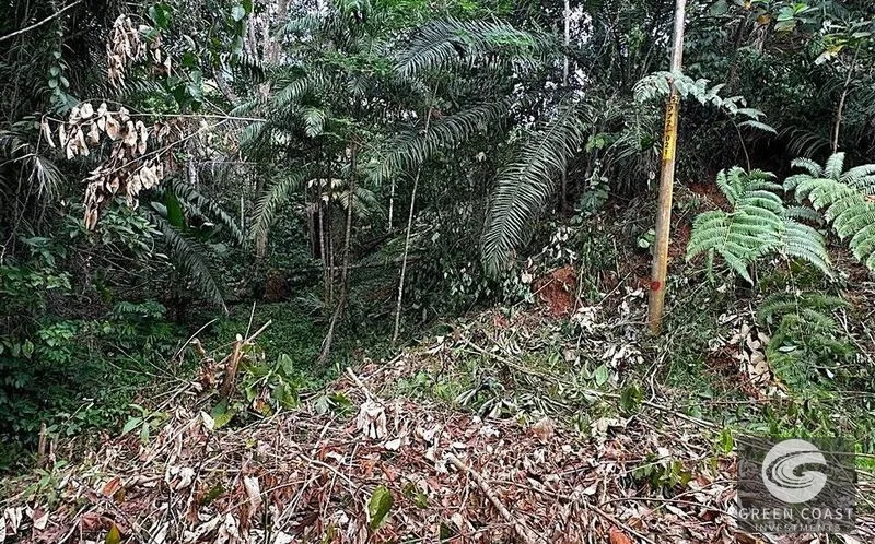 Private 1.25-Acre Rainforest Lot with Creek Frontage – Matapalo's Hidden Gem — view 5, Quepos (Aguirre), Costa Rica
