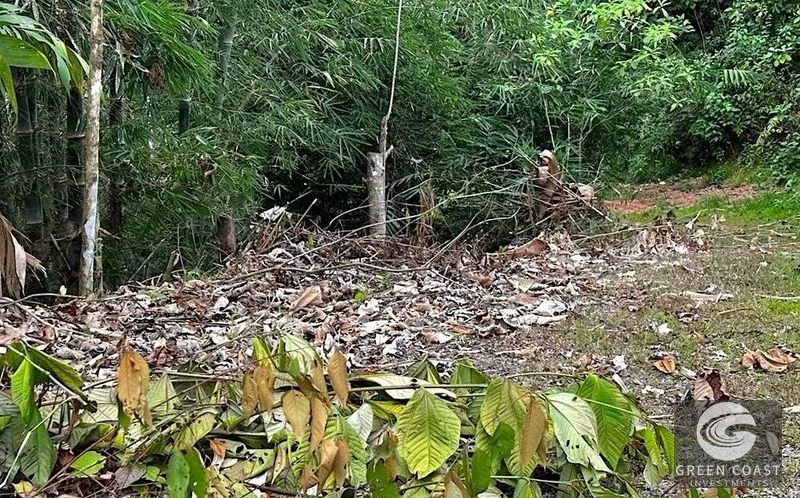 Private 1.25-Acre Rainforest Lot with Creek Frontage – Matapalo's Hidden Gem — view 6, Quepos (Aguirre), Costa Rica