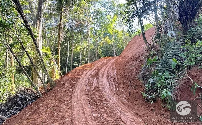 Private 1.25-Acre Rainforest Lot with Creek Frontage – Matapalo's Hidden Gem — view 9, Quepos (Aguirre), Costa Rica