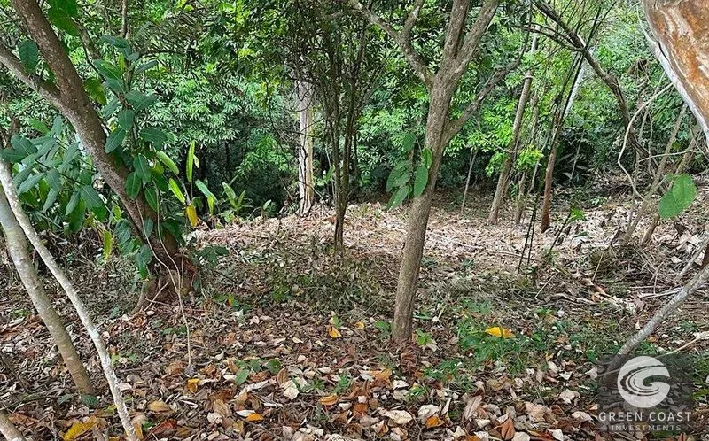 Private 1.25-Acre Rainforest Lot with Creek Frontage – Matapalo's Hidden Gem — view 10, Quepos (Aguirre), Costa Rica
