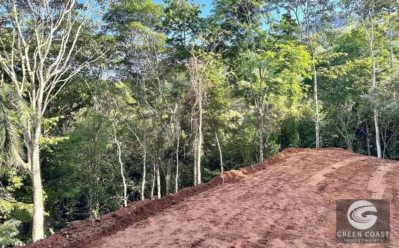 Private 1.25-Acre Rainforest Lot with Creek Frontage – Matapalo's Hidden Gem — view 11, Quepos (Aguirre), Costa Rica