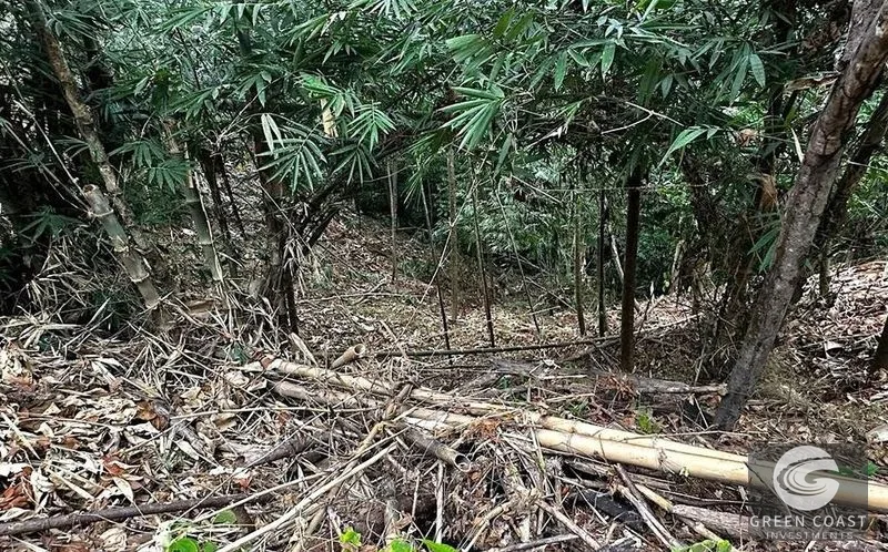 Private 1.25-Acre Rainforest Lot with Creek Frontage – Matapalo's Hidden Gem — view 13, Quepos (Aguirre), Costa Rica