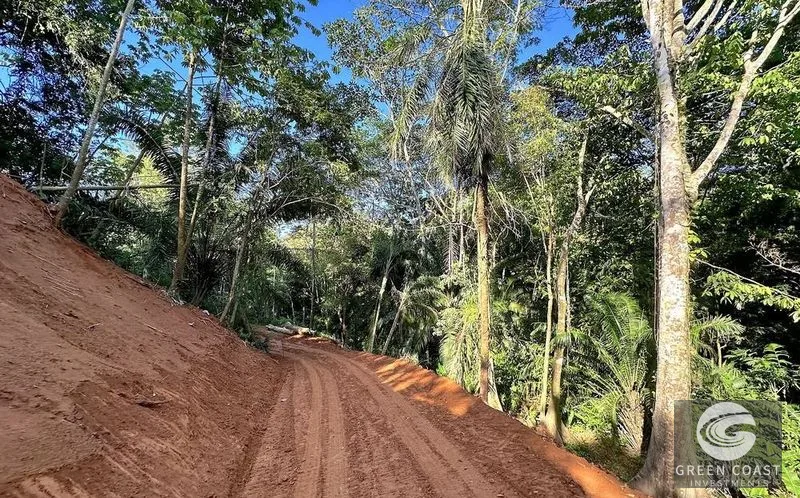Private 1.25-Acre Rainforest Lot with Creek Frontage – Matapalo's Hidden Gem — view 14, Quepos (Aguirre), Costa Rica