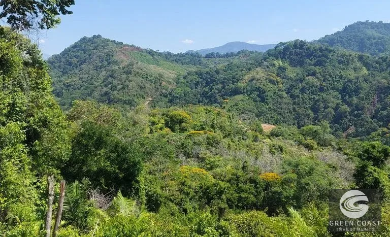 Expansive 125-Acre Costa Rican Estate with Creek & Springs - Ready for Development! — view 1, Savegre, Savegre, Costa Rica
