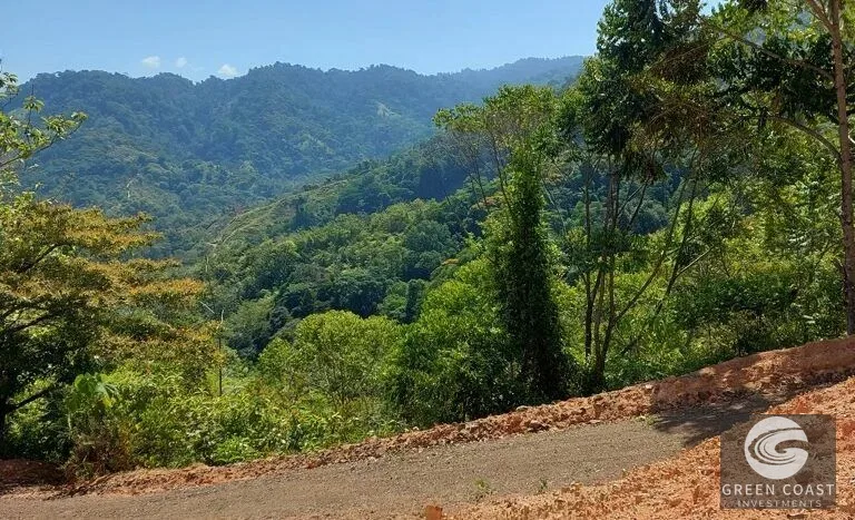 Expansive 125-Acre Costa Rican Estate with Creek & Springs - Ready for Development! — view 2, Savegre, Savegre, Costa Rica
