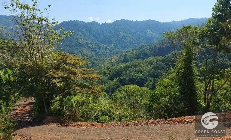 Expansive 125-Acre Costa Rican Estate with Creek & Springs - Ready for Development! — view 3, Savegre, Savegre, Costa Rica