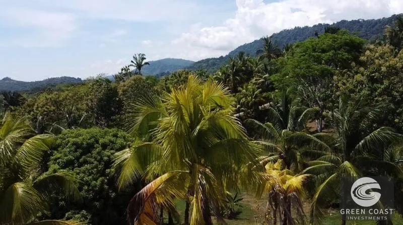Expansive 125-Acre Costa Rican Estate with Creek & Springs - Ready for Development! — view 4, Savegre, Savegre, Costa Rica