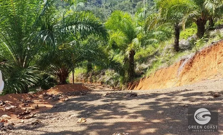 Expansive 125-Acre Costa Rican Estate with Creek & Springs - Ready for Development! — view 5, Savegre, Savegre, Costa Rica