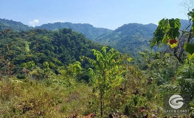 Expansive 125-Acre Costa Rican Estate with Creek & Springs - Ready for Development! — view 7, Savegre, Savegre, Costa Rica