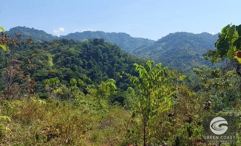 Expansive 125-Acre Costa Rican Estate with Creek & Springs - Ready for Development! — view 8, Savegre, Savegre, Costa Rica