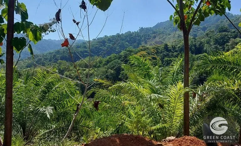 Expansive 125-Acre Costa Rican Estate with Creek & Springs - Ready for Development! — view 9, Savegre, Savegre, Costa Rica