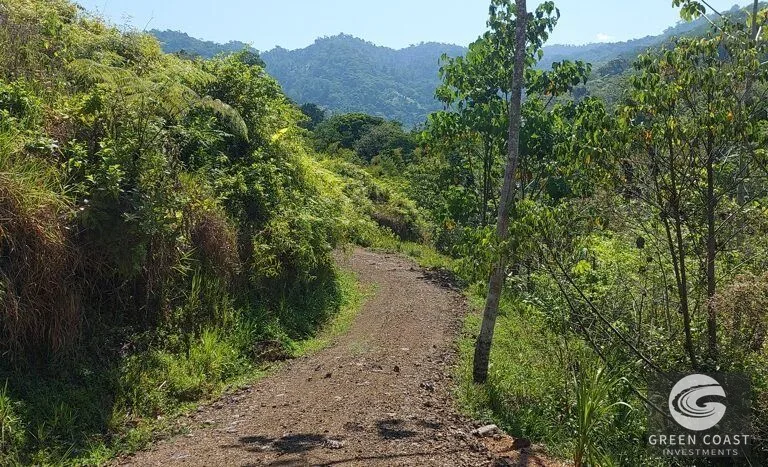 Expansive 125-Acre Costa Rican Estate with Creek & Springs - Ready for Development! — view 11, Savegre, Savegre, Costa Rica
