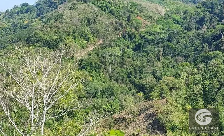 Expansive 125-Acre Costa Rican Estate with Creek & Springs - Ready for Development! — view 14, Savegre, Savegre, Costa Rica