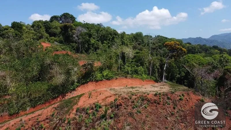 Ocean View Paradise Farm: 210 Acres, Development Ready, Near Quepos & Uvita — view 5, Savegre de Quepos, Quepos, Costa Rica