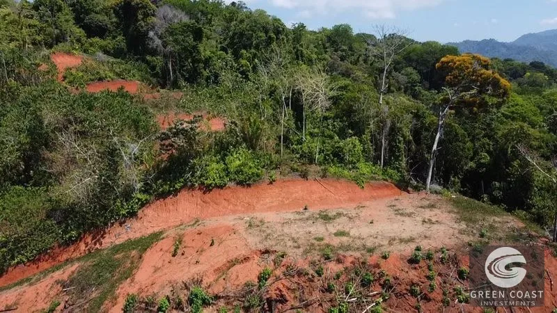 Ocean View Paradise Farm: 210 Acres, Development Ready, Near Quepos & Uvita — view 7, Savegre de Quepos, Quepos, Costa Rica