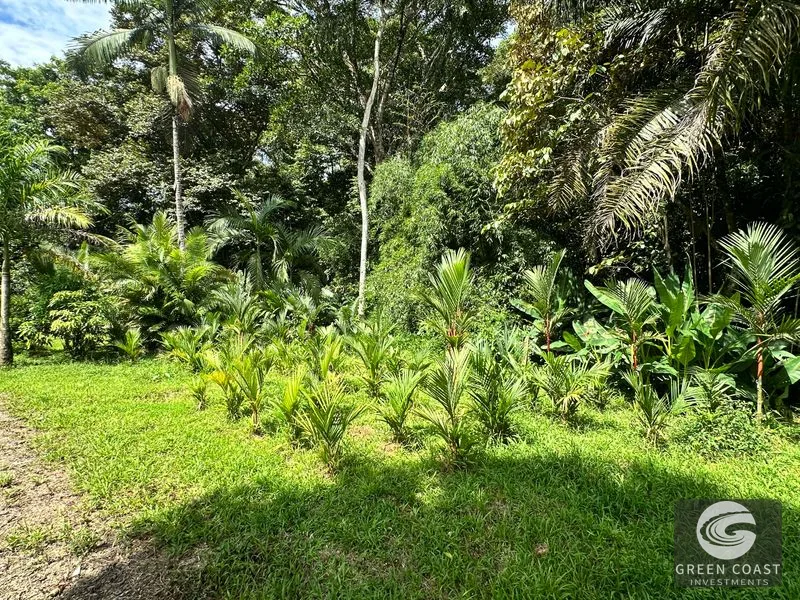 Prime Ojochal Commercial Hub: High-Traffic Location on Costanera Sur with Offices & Warehouse — view 52, Ojochal, Ojochal, Costa Rica