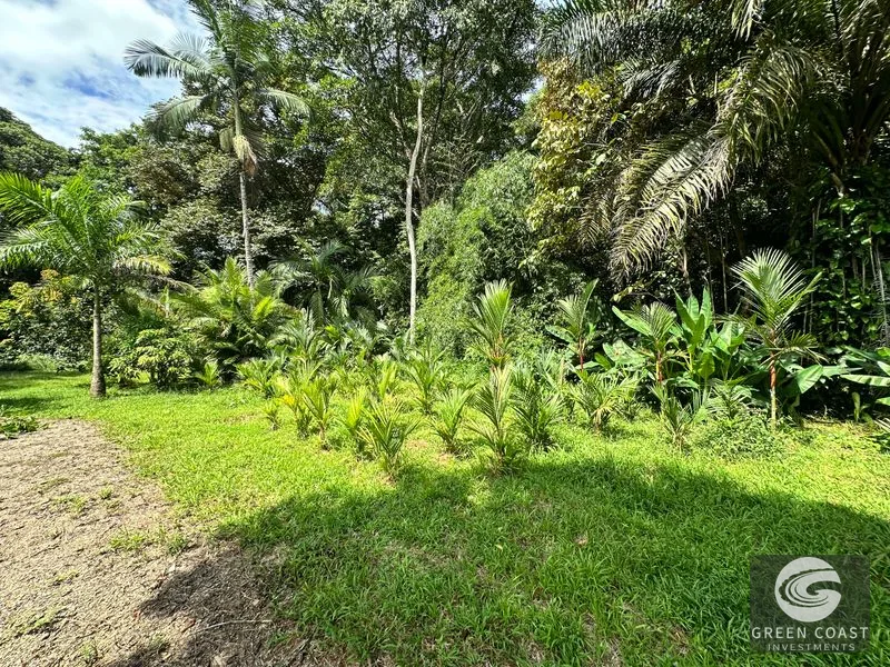 Prime Ojochal Commercial Hub: High-Traffic Location on Costanera Sur with Offices & Warehouse — view 53, Ojochal, Ojochal, Costa Rica