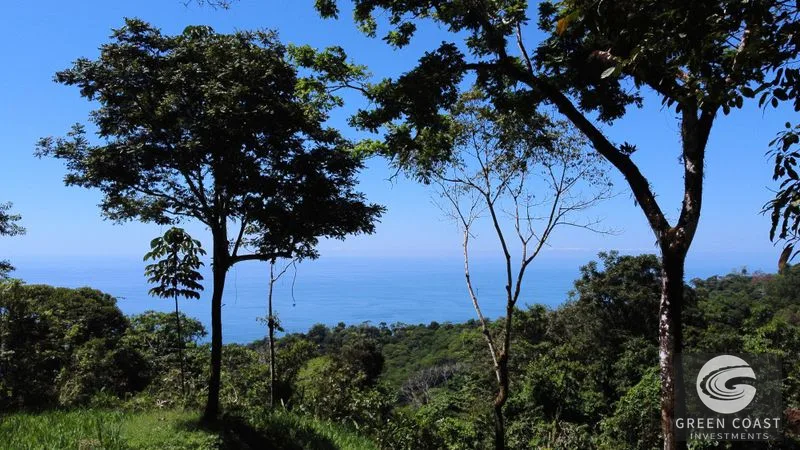 Premier 5.8-Acre Ocean View Estate Lot in Costa Verde Estates - Build Your Luxury Retreat — view 4, Dominical, Dominical, Costa Rica