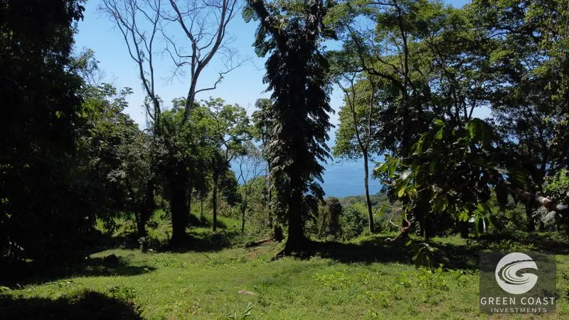 Premier 5.8-Acre Ocean View Estate Lot in Costa Verde Estates - Build Your Luxury Retreat — view 5, Dominical, Dominical, Costa Rica