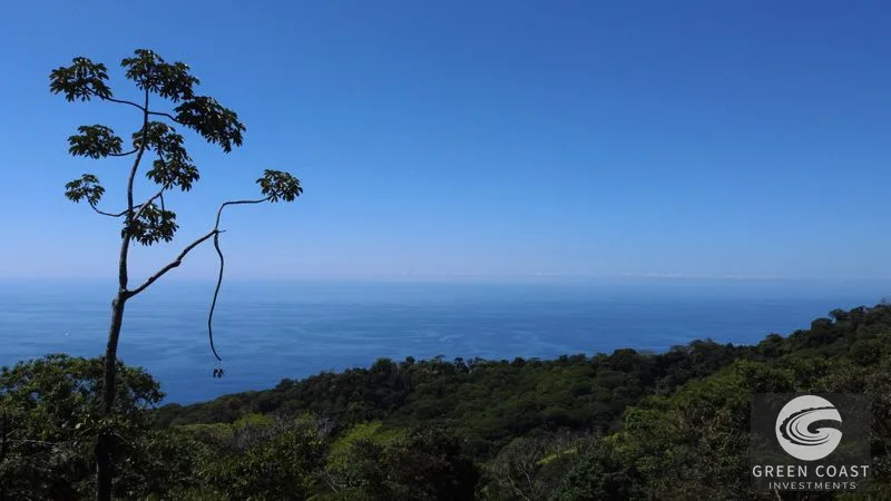 Premier 5.8-Acre Ocean View Estate Lot in Costa Verde Estates - Build Your Luxury Retreat — view 15, Dominical, Dominical, Costa Rica