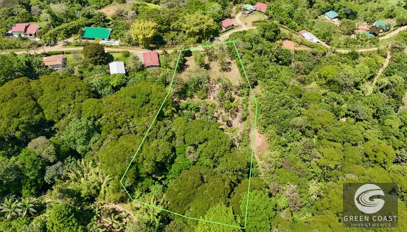 Ready-to-Build Platanillo Lot: Mountain Views, Creek, Fruit Trees & Legal Water Near Dominical — view 1, Platanillo, Platanillo, Costa Rica