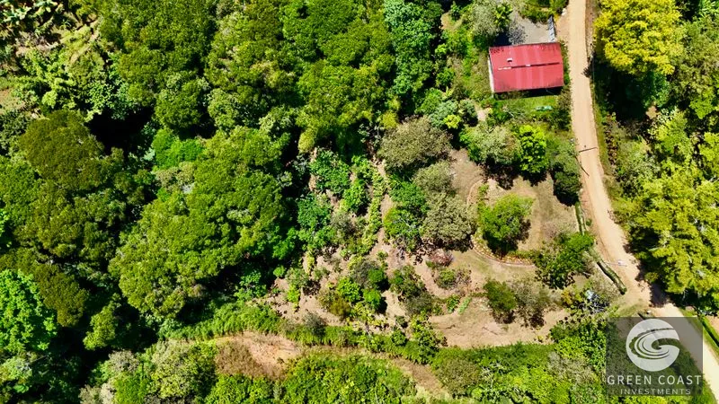 Ready-to-Build Platanillo Lot: Mountain Views, Creek, Fruit Trees & Legal Water Near Dominical — view 4, Platanillo, Platanillo, Costa Rica
