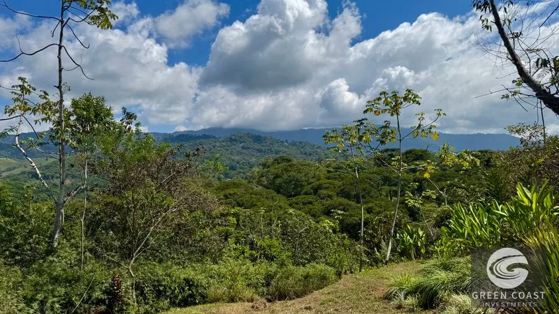 Ready-to-Build Platanillo Lot: Mountain Views, Creek, Fruit Trees & Legal Water Near Dominical — view 6, Platanillo, Platanillo, Costa Rica