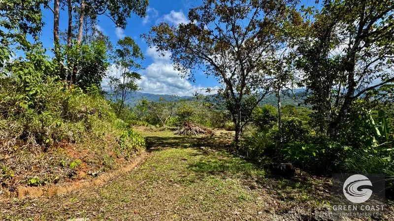 Ready-to-Build Platanillo Lot: Mountain Views, Creek, Fruit Trees & Legal Water Near Dominical — view 8, Platanillo, Platanillo, Costa Rica