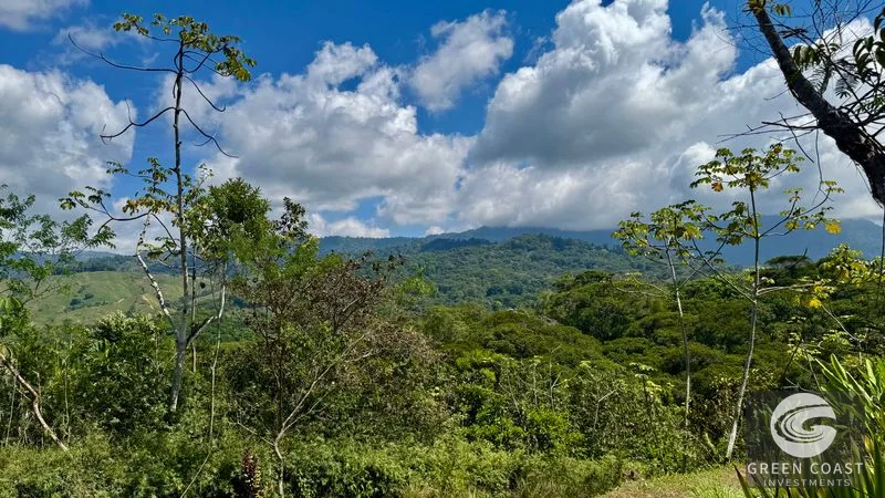 Ready-to-Build Platanillo Lot: Mountain Views, Creek, Fruit Trees & Legal Water Near Dominical — view 9, Platanillo, Platanillo, Costa Rica