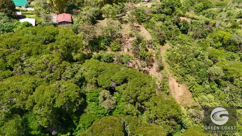 Ready-to-Build Platanillo Lot: Mountain Views, Creek, Fruit Trees & Legal Water Near Dominical — view 10, Platanillo, Platanillo, Costa Rica
