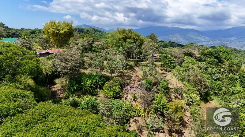 Ready-to-Build Platanillo Lot: Mountain Views, Creek, Fruit Trees & Legal Water Near Dominical — view 11, Platanillo, Platanillo, Costa Rica