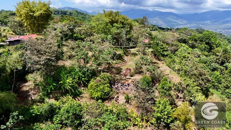 Ready-to-Build Platanillo Lot: Mountain Views, Creek, Fruit Trees & Legal Water Near Dominical — view 13, Platanillo, Platanillo, Costa Rica