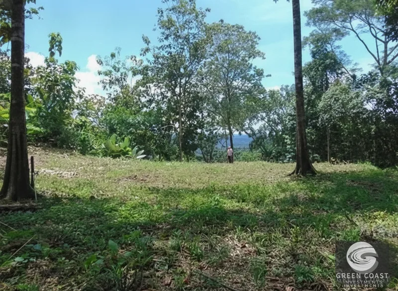 Osa Peninsula Rainforest Farm: Waterfall, 2 Homes, Restaurant & Teak Plantation — view 17, Chacarita, San José, Costa Rica